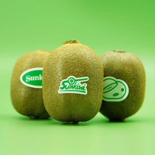 眉縣大氣農場 數字獼猴桃專業合作社以集約化管理推動品牌分紅與銷售升級