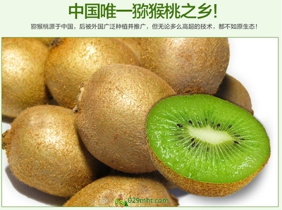 【預售開啟】2015年度優(yōu)質(zhì)徐香獼猴桃，邀您搶先品嘗金秋碩果