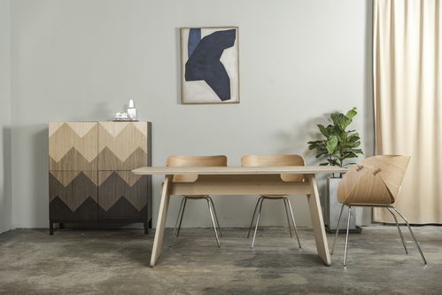 一年銷(xiāo)售2500把 銀杏椅 , side 想成為商業(yè)和家庭都適用的現(xiàn)代原創(chuàng)家具品牌